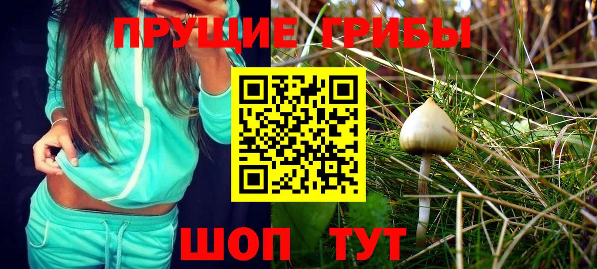 Псилоцибиновые грибы мицелий Ревда